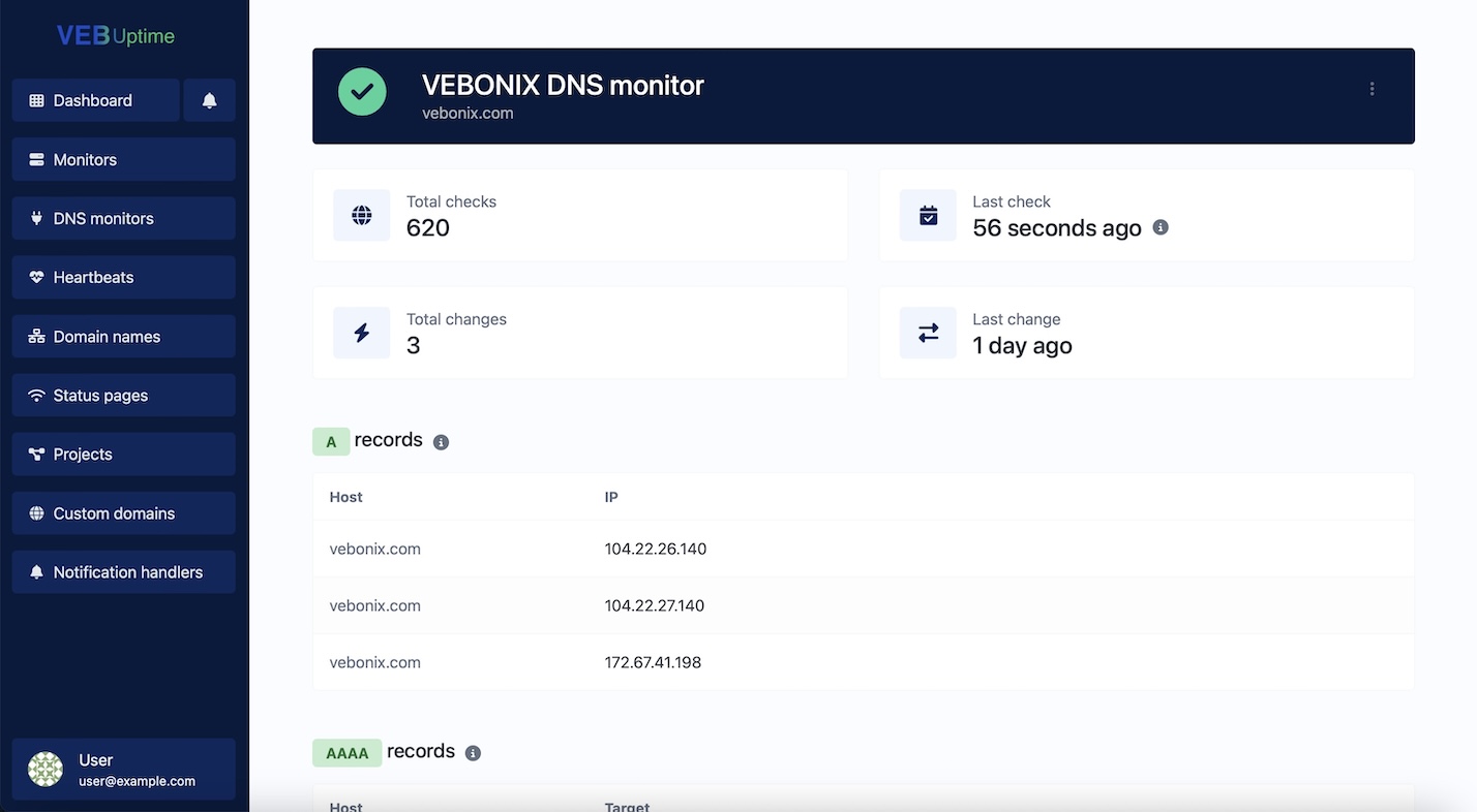 Screenshot of the app DNS monitor page